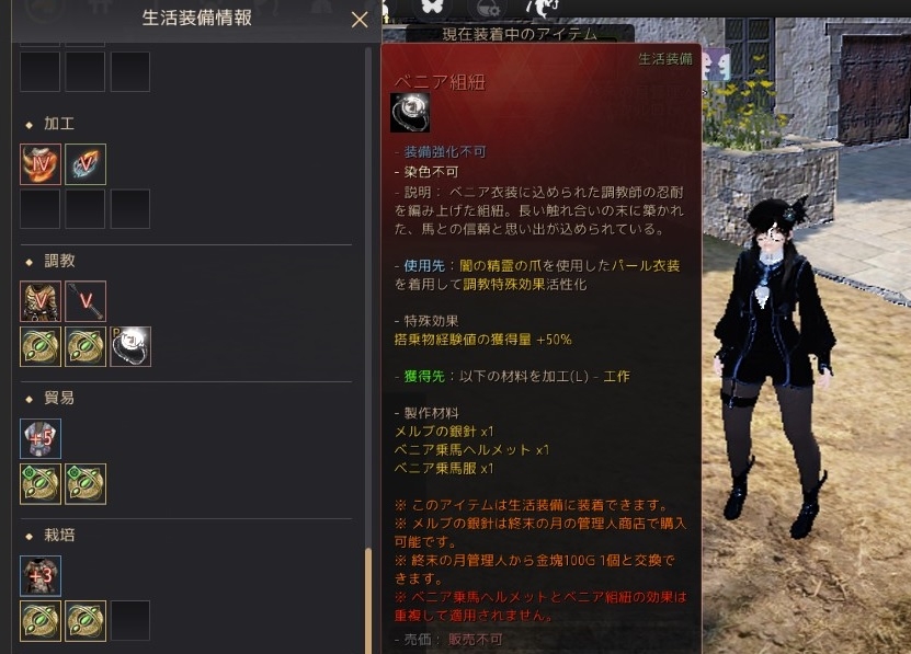 メルブの銀針でベニア衣装からニア組紐作って装備してきた03